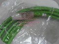 6FX5002-2DC10-1AG0 SIGNAL 6FX50022DC101AG0 CABLE, PREASSEMBLED (SINAMICS DRIVE CLIQ) IN DUBAI (2)